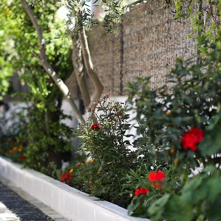 Vila Feliz - Premium Rooms With Free Private Parking Vlorë 외부 사진